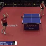 Hana Arapovic