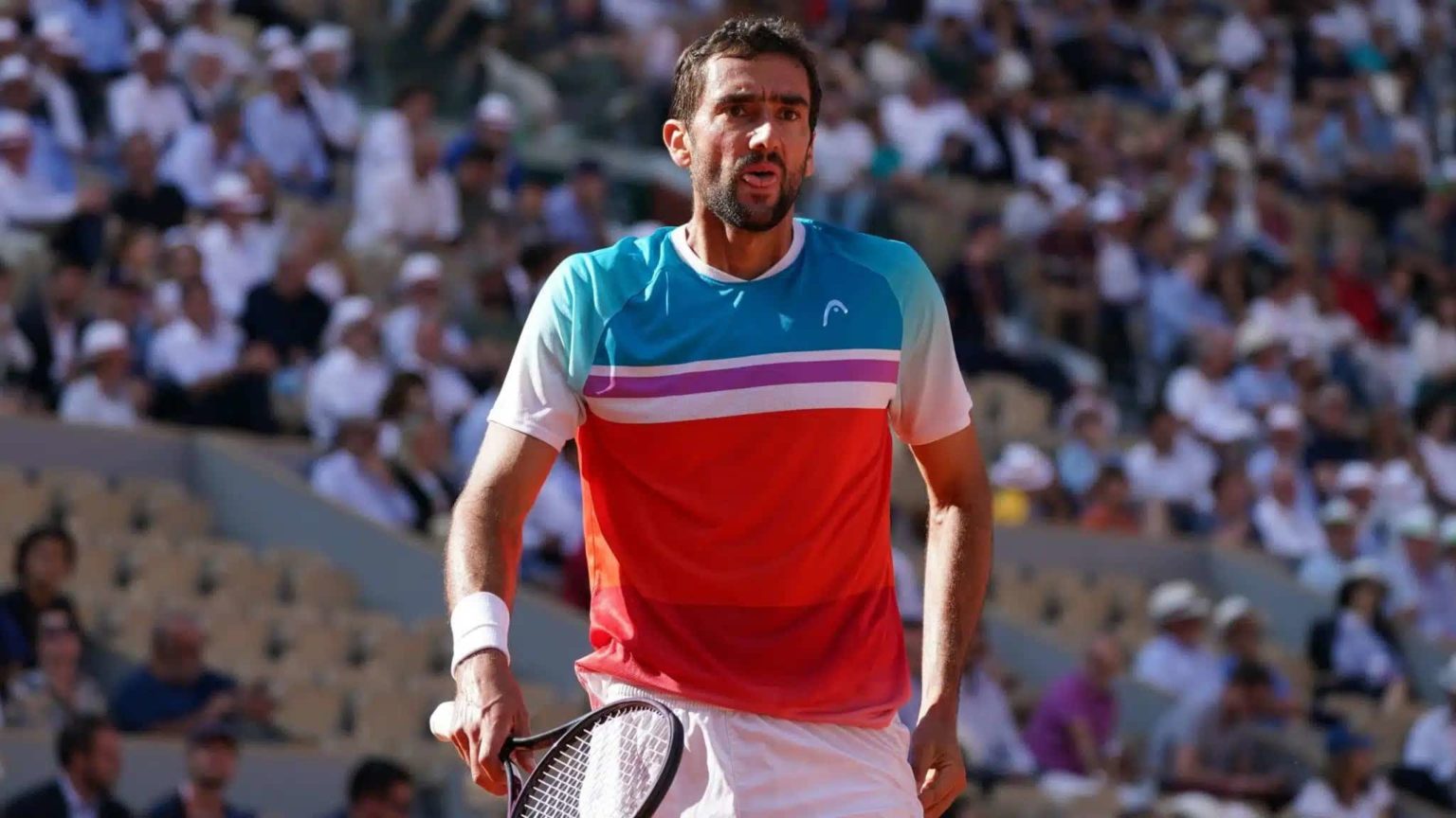 tenis uživo